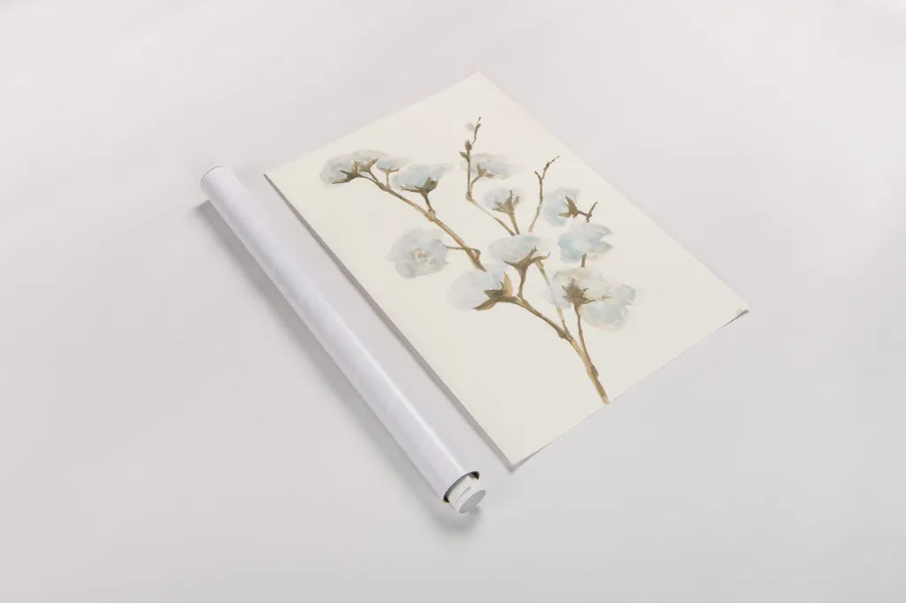 Summer Cotton I by Chris Paschke. shown as a rolled paper print. Available as archival giclee rolled canvas, fine art paper, or poster print. SKU 55055h.