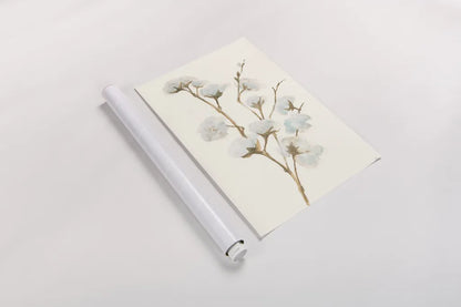 Summer Cotton I by Chris Paschke. shown as a rolled paper print. Available as archival giclee rolled canvas, fine art paper, or poster print. SKU 55055h.