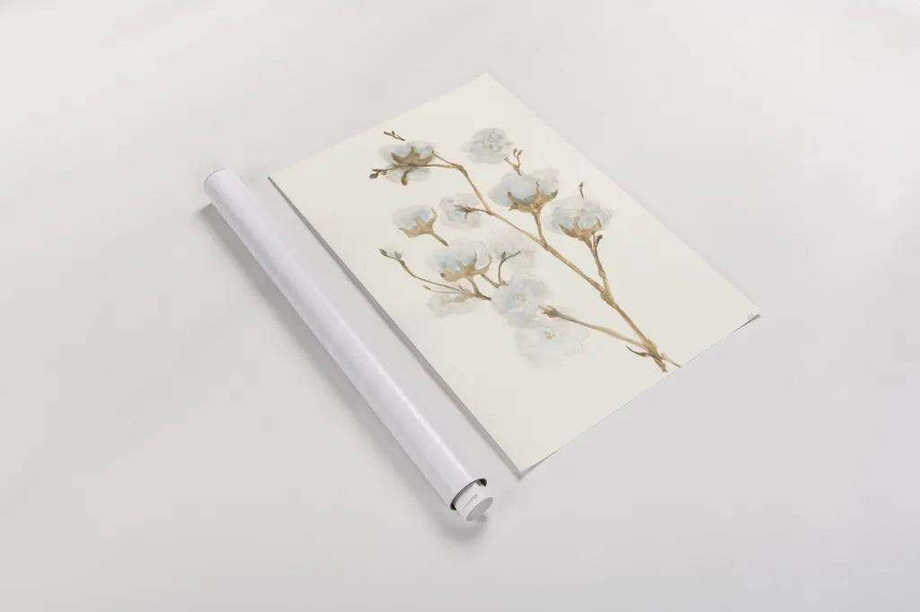 Summer Cotton II by Chris Paschke. shown as a rolled paper print. Available as archival giclee rolled canvas, fine art paper, or poster print. SKU 55056h.