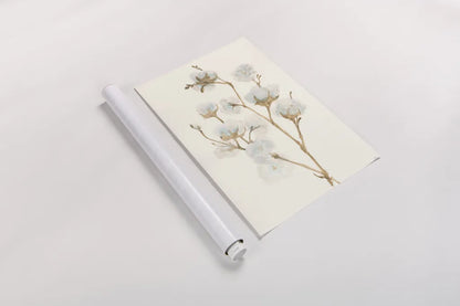 Summer Cotton II by Chris Paschke. shown as a rolled paper print. Available as archival giclee rolled canvas, fine art paper, or poster print. SKU 55056h.