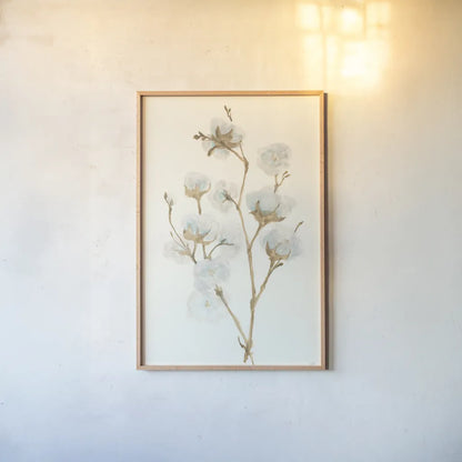 Summer Cotton II by Chris Paschke. shown as a paper print in a natural frame. Available as a archival giclee rolled canvas, fine art paper, or poster print. SKU 55056h.