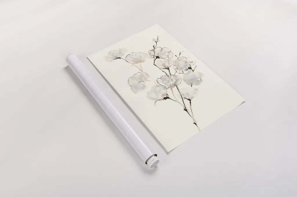 Summer Cotton III by Chris Paschke. shown as a rolled paper print. Available as archival giclee rolled canvas, fine art paper, or poster print. SKU 55057h.