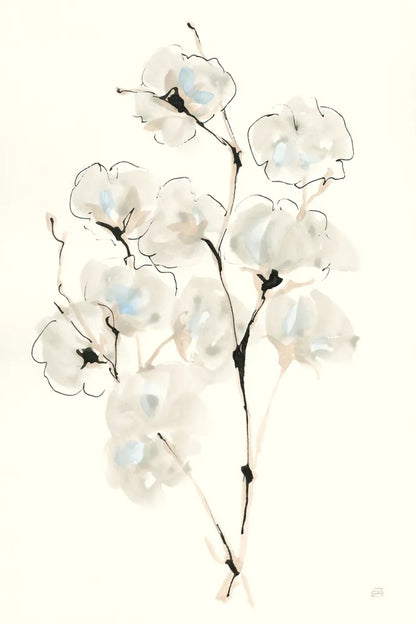 Summer Cotton IV by Chris Paschke. SKU 55058h. Archival Giclee Fine art print for wall decor.