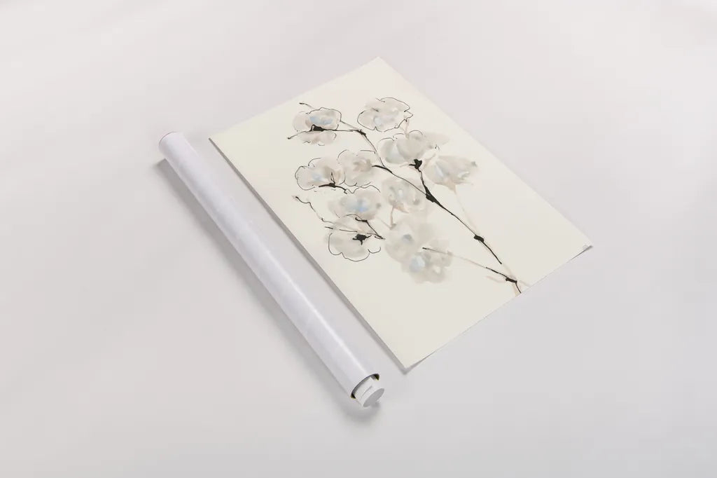 Summer Cotton IV by Chris Paschke. shown as a rolled paper print. Available as archival giclee rolled canvas, fine art paper, or poster print. SKU 55058h.