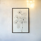 Summer Cotton IV by Chris Paschke. shown as a paper print in a black flame. Available as a archival giclee rolled canvas, fine art paper, or poster print. SKU 55058h.