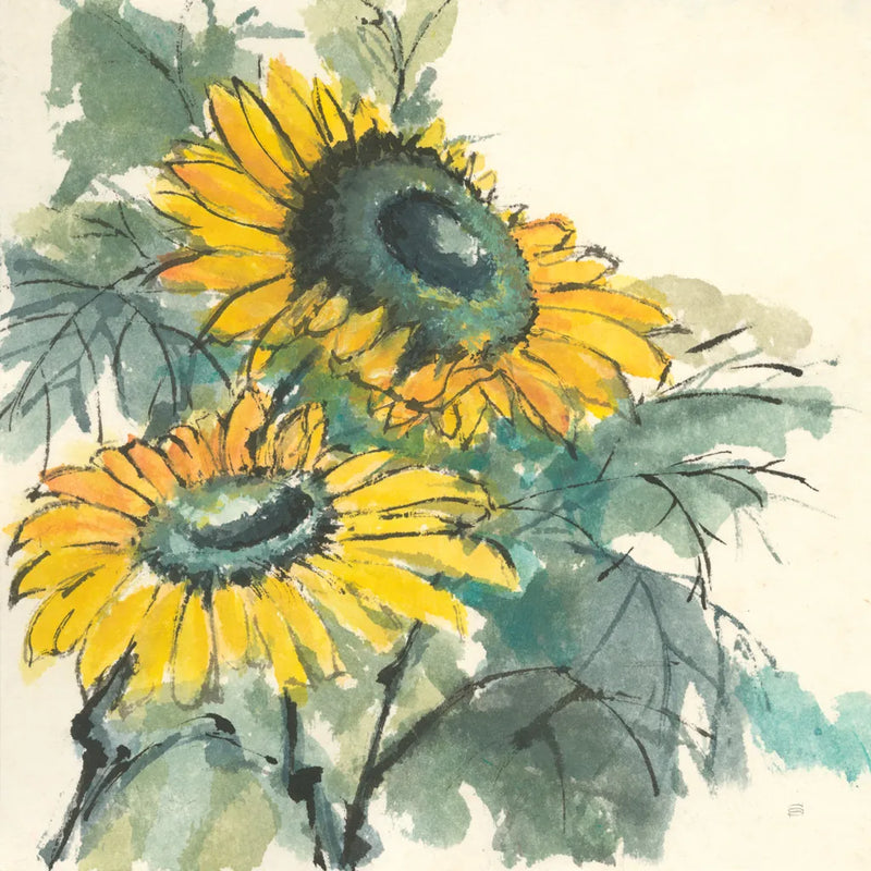 Sunflower I by Chris Paschke. SKU 44520a. Archival Giclee Fine art print for wall decor.