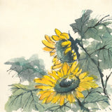 Sunflower II by Chris Paschke. SKU 44521a. Archival Giclee Fine art print for wall decor.