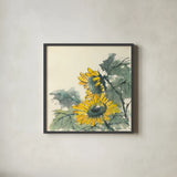 Sunflower II by Chris Paschke. Shown in a sleek black glass frame for a contemporary gallery look. Available as an archival giclee rolled canvas, fine art paper, or poster print. SKU 44521a.