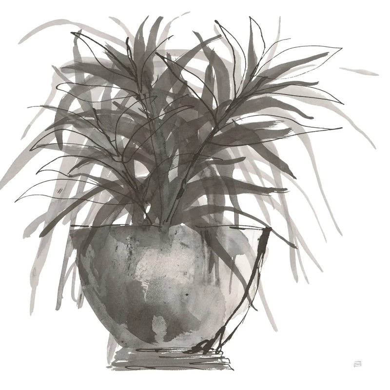 Sunroom Sketch I by Chris Paschke. SKU 85520a. Archival Giclee Fine art print for wall decor.