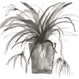 Sunroom Sketch II by Chris Paschke. SKU 85521a. Archival Giclee Fine art print for wall decor.