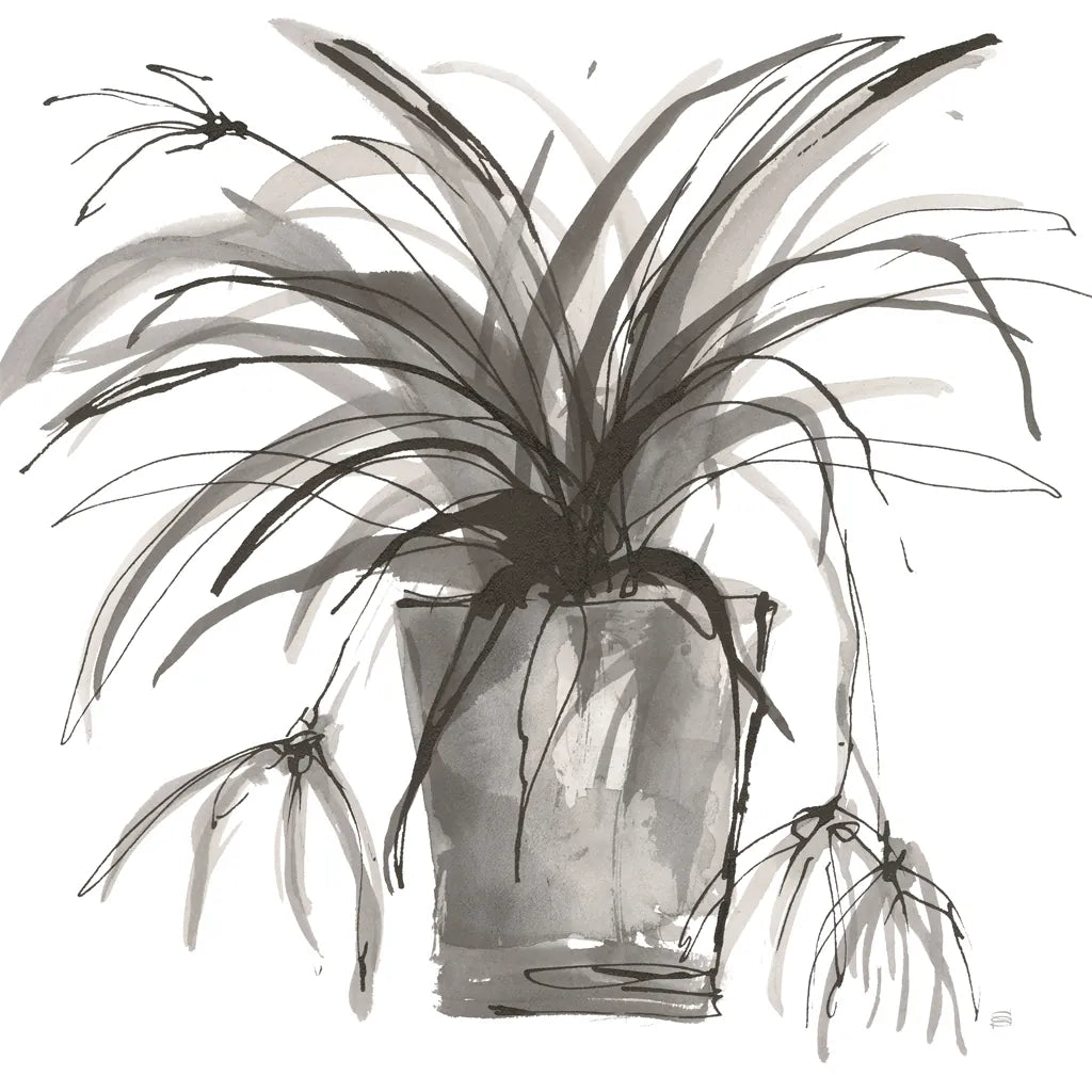 Sunroom Sketch II by Chris Paschke. SKU 85521a. Archival Giclee Fine art print for wall decor.