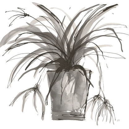 Sunroom Sketch II by Chris Paschke. SKU 85521a. Archival Giclee Fine art print for wall decor.