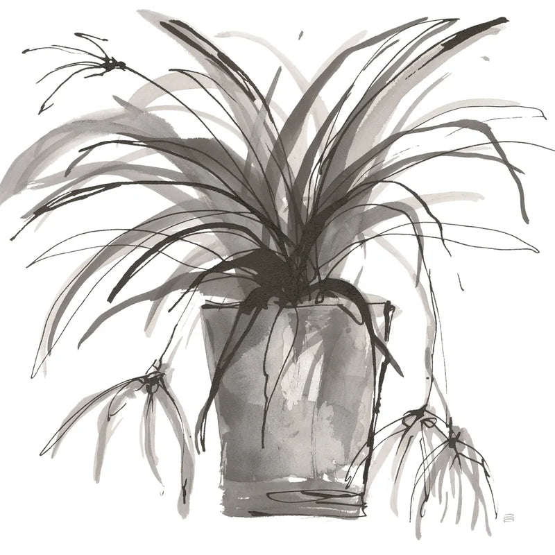 Sunroom Sketch II by Chris Paschke. SKU 85521a. Archival Giclee Fine art print for wall decor.
