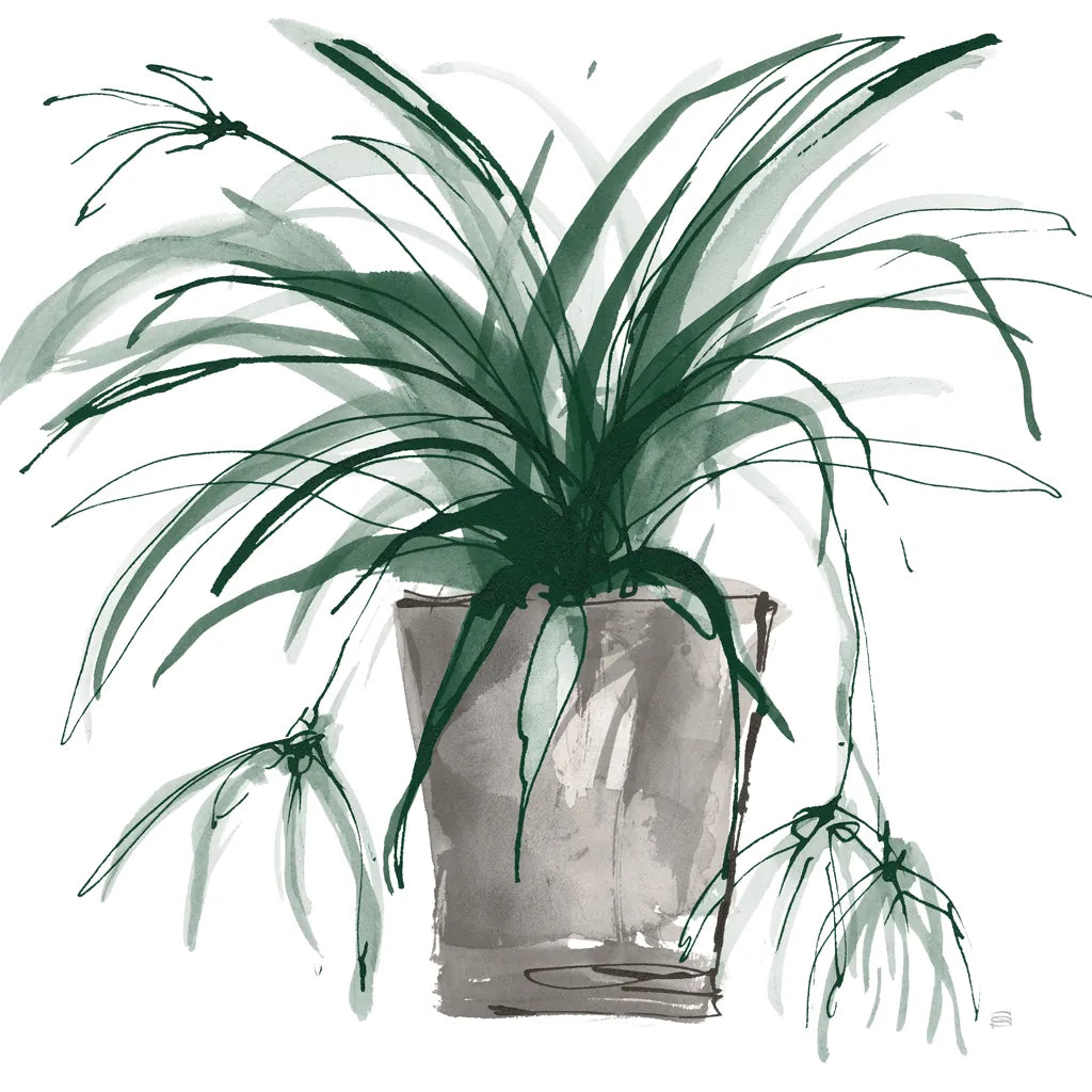 Sunroom Sketch II Green by Chris Paschke. SKU 86011a. Archival Giclee Fine art print for wall decor.