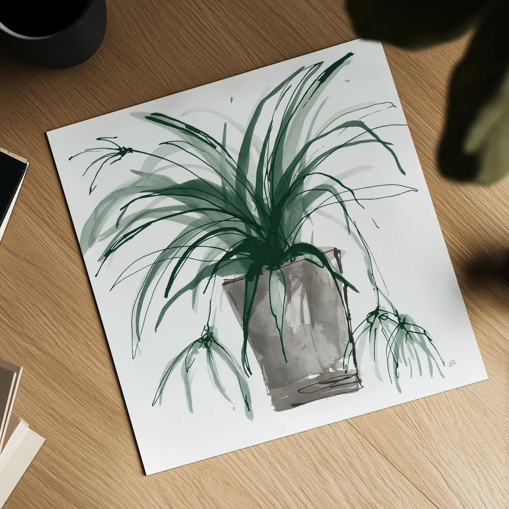 Sunroom Sketch II Green by Chris Paschke. Shown as a detailed flat fine art print, highlighting archival giclee quality. Available as an archival giclee rolled canvas, fine art paper, or poster print. SKU 86011a.