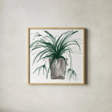 Sunroom Sketch II Green by Chris Paschke. Shown in a natural wood glass frame for a timeless modern aesthetic. Available as an archival giclee rolled canvas, fine art paper, or poster print. SKU 86011a.