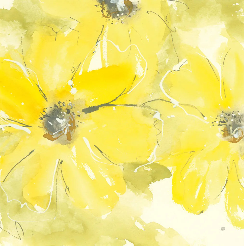 Sunshine Cosmos II by Chris Paschke. SKU 48035a. Archival Giclee Fine art print for wall decor.