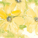 Sunshine Cosmos II v2 by Chris Paschke. SKU 54246a. Archival Giclee Fine art print for wall decor.