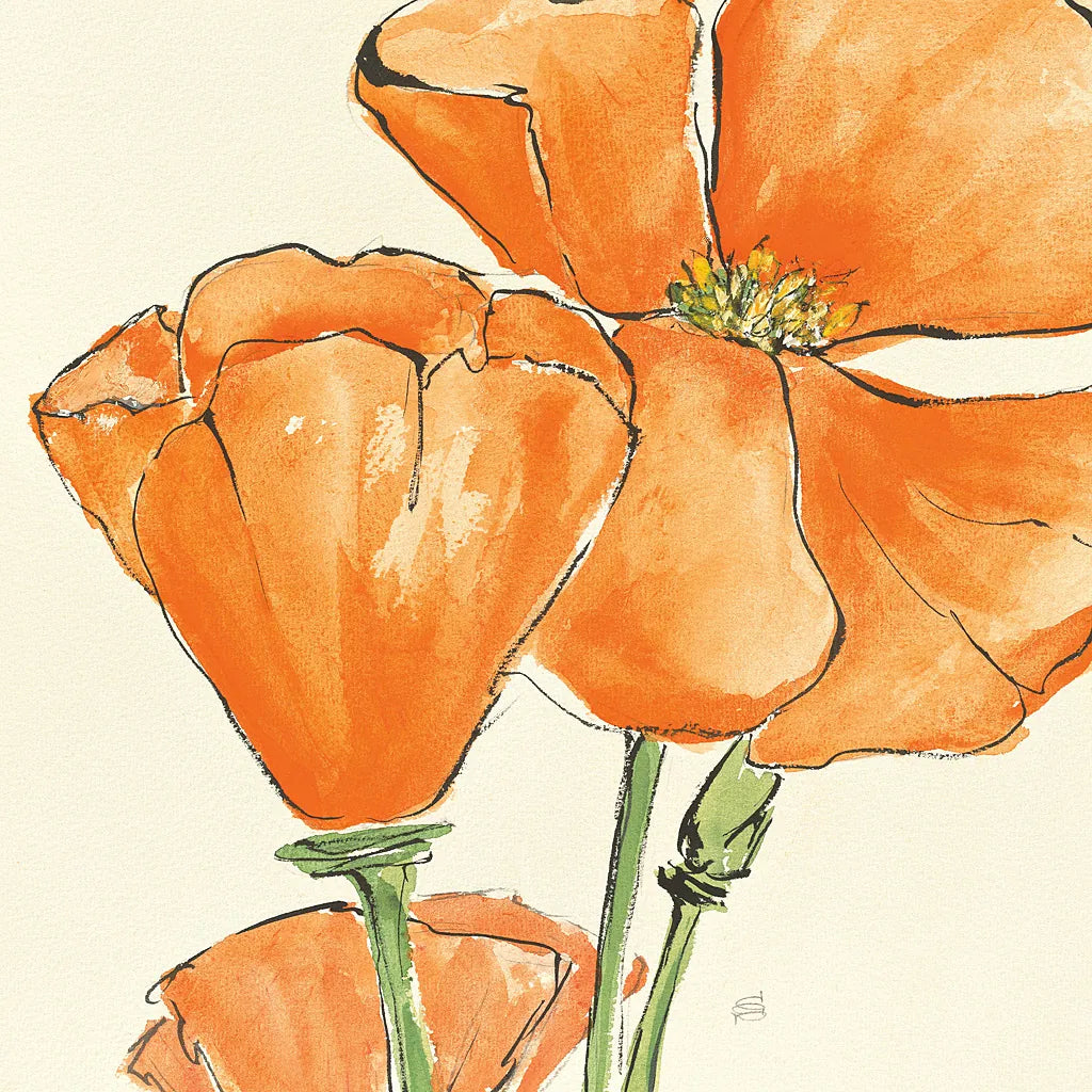 Sunshine Poppy III by Chris Paschke. SKU 10760a. Archival Giclee Fine art print for wall decor.