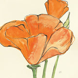 Sunshine Poppy IV by Chris Paschke. SKU 10761a. Archival Giclee Fine art print for wall decor.
