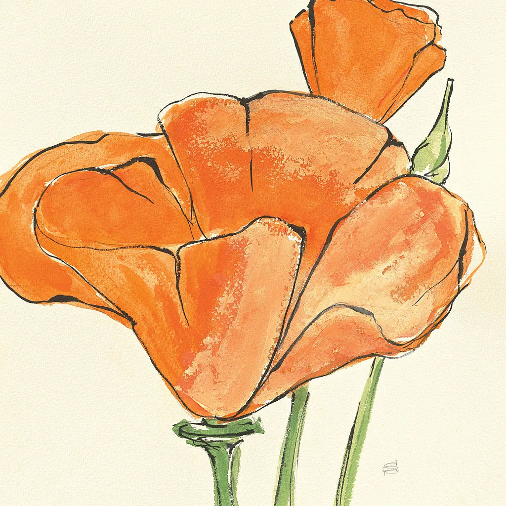 Sunshine Poppy IV by Chris Paschke. SKU 10761a. Archival Giclee Fine art print for wall decor.