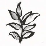 Sustained Leaves I by Chris Paschke. SKU 92769a. Archival Giclee Fine art print for wall decor.