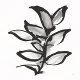 Sustained Leaves II by Chris Paschke. SKU 92770a. Archival Giclee Fine art print for wall decor.