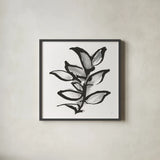 Sustained Leaves II by Chris Paschke. Shown in a sleek black glass frame for a contemporary gallery look. Available as an archival giclee rolled canvas, fine art paper, or poster print. SKU 92770a.