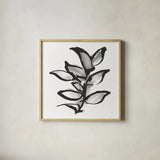 Sustained Leaves II by Chris Paschke. Shown in a natural wood glass frame for a timeless modern aesthetic. Available as an archival giclee rolled canvas, fine art paper, or poster print. SKU 92770a.