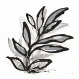 Sustained Leaves III by Chris Paschke. SKU 92771a. Archival Giclee Fine art print for wall decor.
