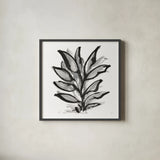 Sustained Leaves IV by Chris Paschke. Shown in a sleek black glass frame for a contemporary gallery look. Available as an archival giclee rolled canvas, fine art paper, or poster print. SKU 92772a.