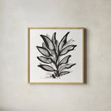 Sustained Leaves IV by Chris Paschke. Shown in a natural wood glass frame for a timeless modern aesthetic. Available as an archival giclee rolled canvas, fine art paper, or poster print. SKU 92772a.