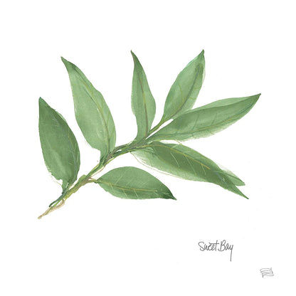 Sweet Bay v2 by Chris Paschke. SKU 28465a. Archival Giclee Fine art print for wall decor.