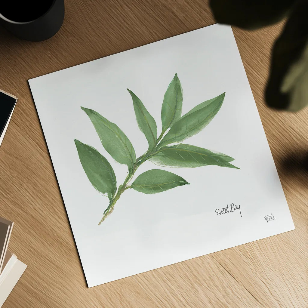 Sweet Bay v2 by Chris Paschke. Shown as a detailed flat fine art print, highlighting archival giclee quality. Available as an archival giclee rolled canvas, fine art paper, or poster print. SKU 28465a.