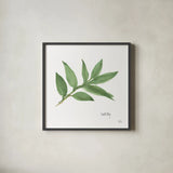 Sweet Bay v2 by Chris Paschke. Shown in a sleek black glass frame for a contemporary gallery look. Available as an archival giclee rolled canvas, fine art paper, or poster print. SKU 28465a.