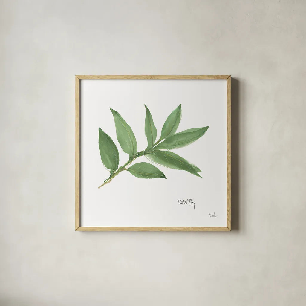 Sweet Bay v2 by Chris Paschke. Shown in a natural wood glass frame for a timeless modern aesthetic. Available as an archival giclee rolled canvas, fine art paper, or poster print. SKU 28465a.