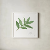 Sweet Bay v2 by Chris Paschke. Shown in a crisp white glass frame for a clean and minimalist style. Available as an archival giclee rolled canvas, fine art paper, or poster print. SKU 28465a.