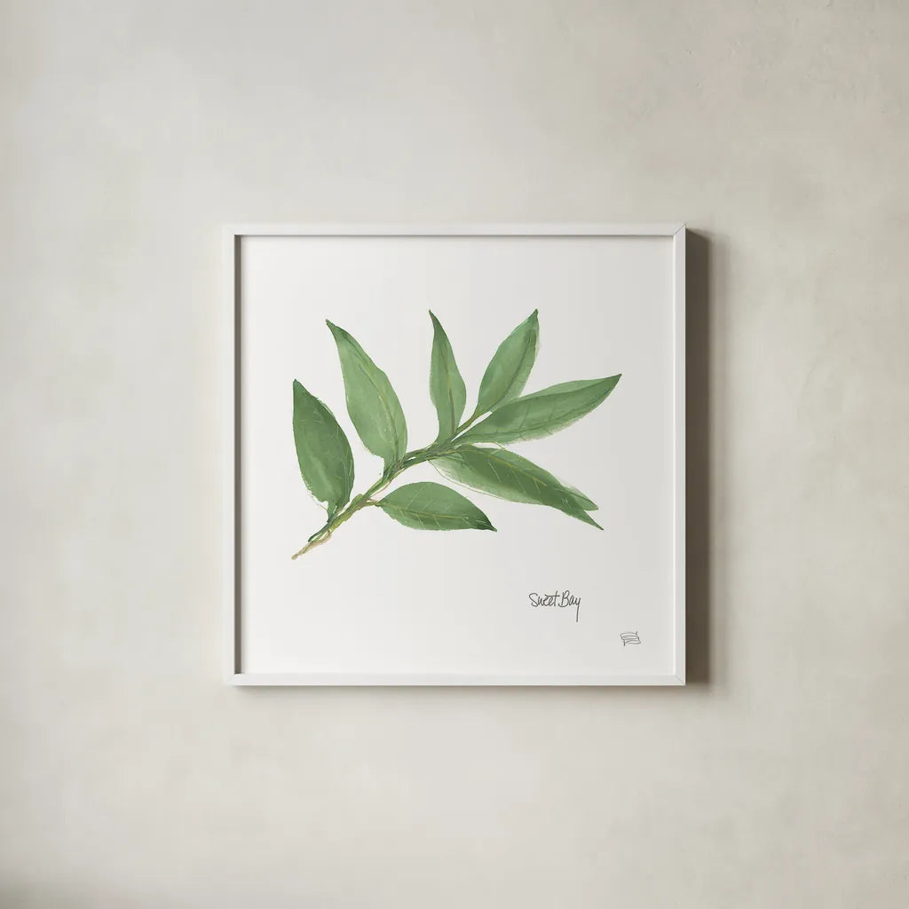 Sweet Bay v2 by Chris Paschke. Shown in a crisp white glass frame for a clean and minimalist style. Available as an archival giclee rolled canvas, fine art paper, or poster print. SKU 28465a.