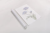 Tall Queen Annes Lace I by Chris Paschke. shown as a rolled paper print. Available as archival giclee rolled canvas, fine art paper, or poster print. SKU 73077h.