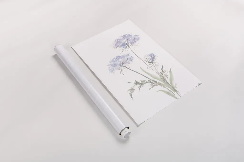 Tall Queen Annes Lace I by Chris Paschke. shown as a rolled paper print. Available as archival giclee rolled canvas, fine art paper, or poster print. SKU 73077h.