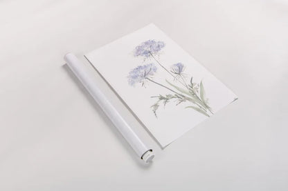 Tall Queen Annes Lace I by Chris Paschke. shown as a rolled paper print. Available as archival giclee rolled canvas, fine art paper, or poster print. SKU 73077h.