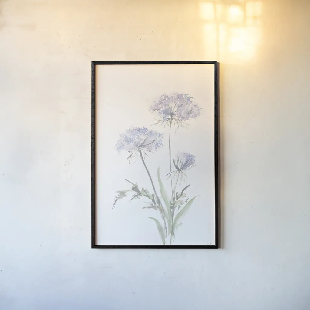 Tall Queen Annes Lace I by Chris Paschke. shown as a paper print in a black flame. Available as a archival giclee rolled canvas, fine art paper, or poster print. SKU 73077h.