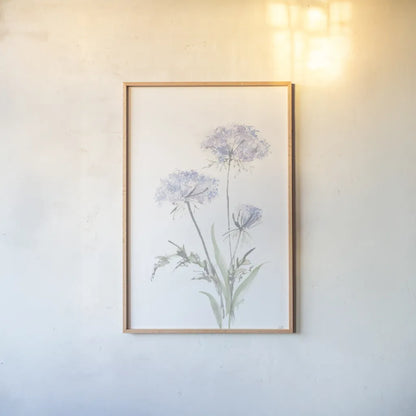 Tall Queen Annes Lace I by Chris Paschke. shown as a paper print in a natural frame. Available as a archival giclee rolled canvas, fine art paper, or poster print. SKU 73077h.