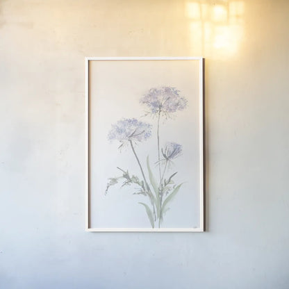 Tall Queen Annes Lace I by Chris Paschke. shown as a paper print in a white frame. Available as a archival giclee rolled canvas, fine art paper, or poster print. SKU 73077h.