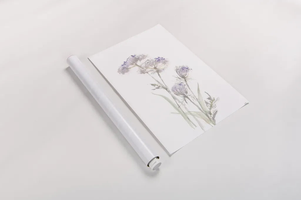 Tall Queen Annes Lace II by Chris Paschke. shown as a rolled paper print. Available as archival giclee rolled canvas, fine art paper, or poster print. SKU 73078h.