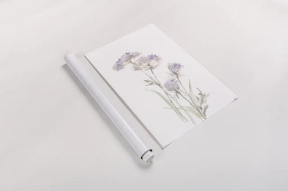 Tall Queen Annes Lace II by Chris Paschke. shown as a rolled paper print. Available as archival giclee rolled canvas, fine art paper, or poster print. SKU 73078h.