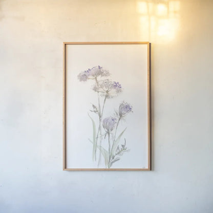 Tall Queen Annes Lace II by Chris Paschke. shown as a paper print in a natural frame. Available as a archival giclee rolled canvas, fine art paper, or poster print. SKU 73078h.