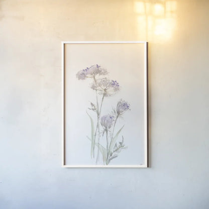 Tall Queen Annes Lace II by Chris Paschke. shown as a paper print in a white frame. Available as a archival giclee rolled canvas, fine art paper, or poster print. SKU 73078h.