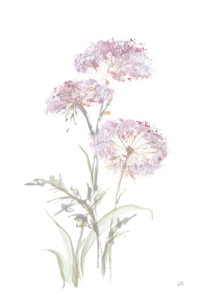 Tall Queen Annes Lace III by Chris Paschke. SKU 73079h. Archival Giclee Fine art print for wall decor.