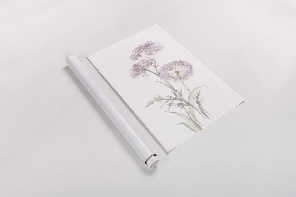 Tall Queen Annes Lace III by Chris Paschke. shown as a rolled paper print. Available as archival giclee rolled canvas, fine art paper, or poster print. SKU 73079h.
